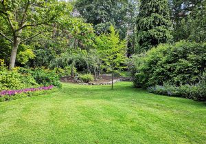 Optimiser l'expérience du jardin à Saint-Amand-de-Vergt